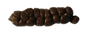 caecotroph-caecal-intermediate-poo-300x113