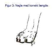 negleklip figur 3